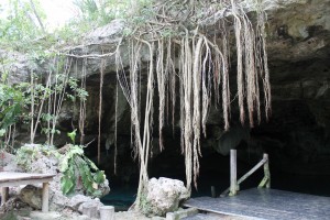 Mexiko, Tulum, Cenote Dos Ojos: Ein verwunschener Platz wie aus einem Märchen